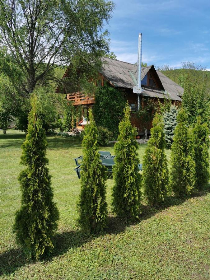 The Wooden House Villa Moldoveneşti Buitenkant foto