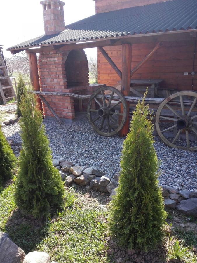 The Wooden House Villa Moldoveneşti Buitenkant foto