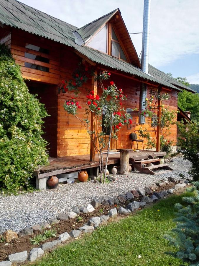 The Wooden House Villa Moldoveneşti Buitenkant foto