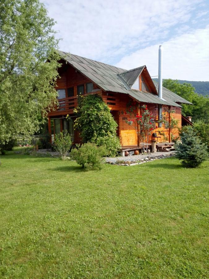 The Wooden House Villa Moldoveneşti Buitenkant foto