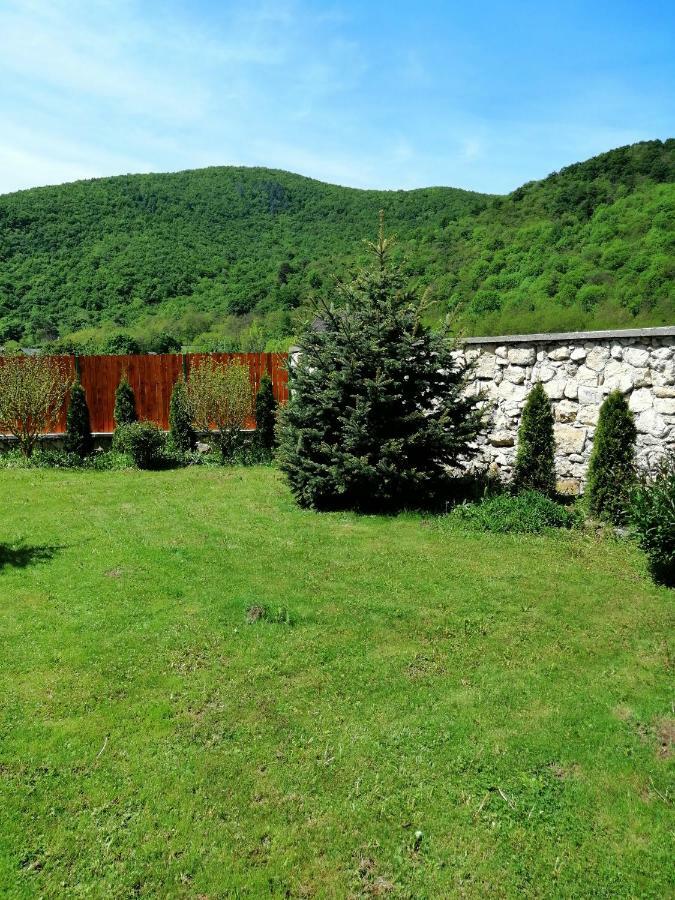 The Wooden House Villa Moldoveneşti Buitenkant foto