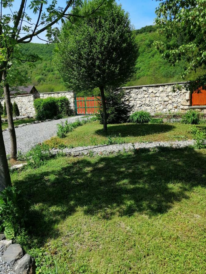 The Wooden House Villa Moldoveneşti Buitenkant foto